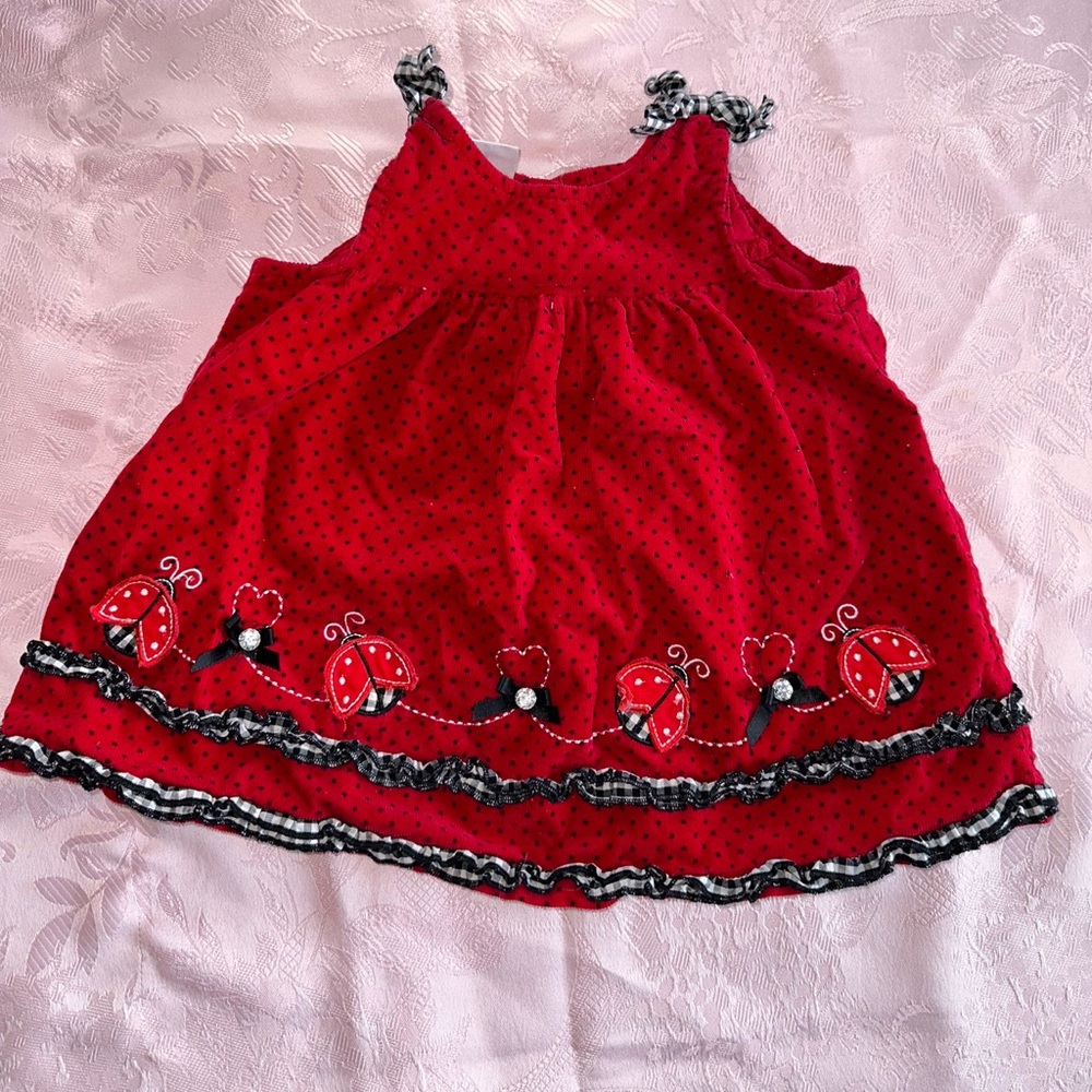 VINTAGE LADY BUG SUMMER VIBES DRESS